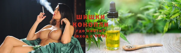 крисы Гусев