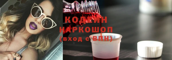 крисы Гусев