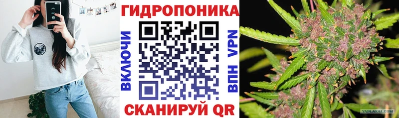 Купить где  Кызыл  Шишки марихуана план 
